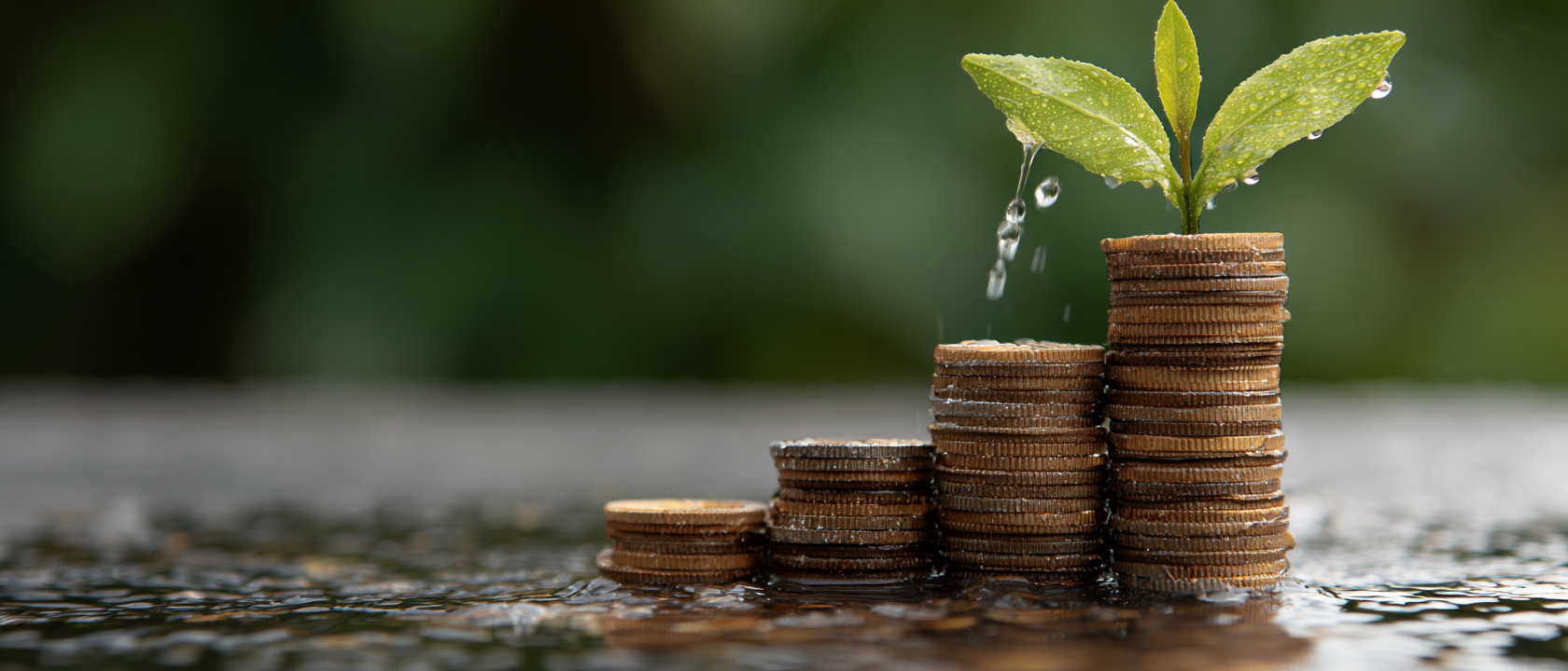 Compliance e marco regulatório